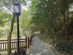 -广州白江湖森林公园