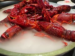 精品冰镇龙虾-红盔甲·小龙虾(人民广场店)