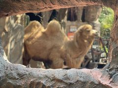 -长鹿旅游休博园
