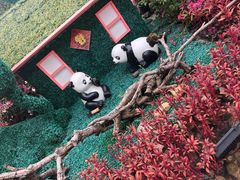 -灵玲国际马戏城