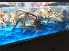 水产区-盒马鲜生(宝地店)