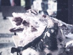 -卧龙湖