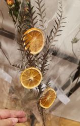 -Diptyque蒂普提克