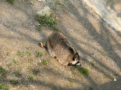 -上海野生动物园