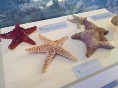 -上海中国航海博物馆