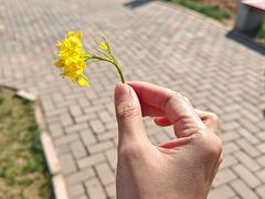 -君乐宝优致牧场