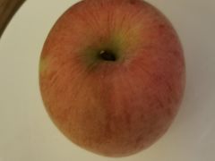 -华雅花园大酒店