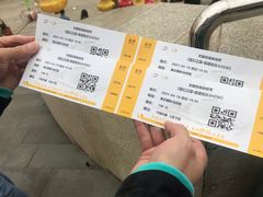-重庆国际马戏城