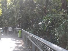 -佛山华盖山公园