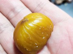 -秋栗香(地安门店)