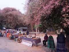 -Bamboo Saturday Market(Nana Jungle)