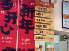 -野人先生现做冰淇淋(西安赛格店)