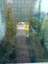 android_upload_pic-上海市嘉定区妇幼保健院