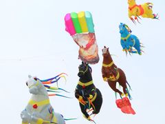 -潍坊滨海云门国际风筝放飞场