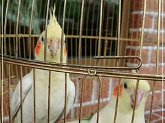 -新疆欣悦饭庄
