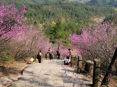 -天台山赤城山景区