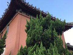 -南京钟山宾馆(江苏省会议中心)
