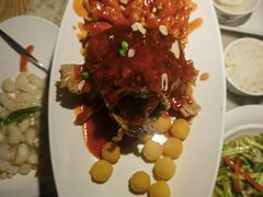 -吴越荣记苏州菜·松鼠桂鱼 100% 活鱼现做(月光码头店)