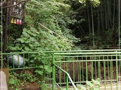 -藏龙百瀑风景区