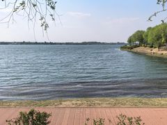 -丁香湖公园
