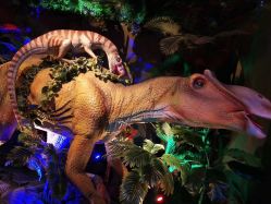 点击看大图 -恐龙探索乐园(磁器口店)