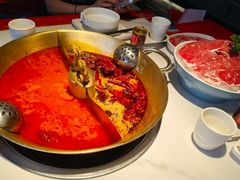 -小龙翻大江文化火锅(宽窄店)