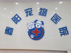 -暖阳宠物医院·犬猫康复中心·骨科