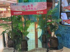 -鱼酷活鱼烤鱼(新世界城店)