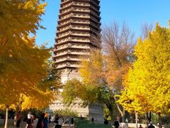 -玲珑塔公园