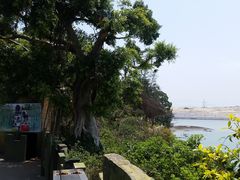 -大嶝英雄三岛战地观光园