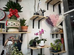 -FEI FEI FLOWER鲜花店·气球派对·宝宝宴布置(虹口德必运动Loft店)