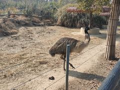 -宁波野生动物园