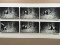 -西安大唐西市博物馆