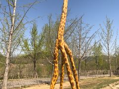 -北京金海湖景区