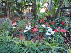 -厦门日月谷温泉渡假村