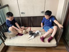 -上海崇明金茂凯悦酒店