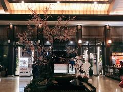 -航空小镇温泉