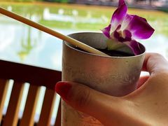 -西双版纳原始森林公园