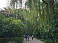-洛阳市隋唐城遗址植物园