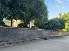 -武汉大学-樱园