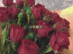 -溪岸路花鸟市场