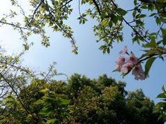 -静安雕塑公园