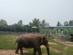 -西安秦岭野生动物园