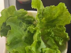 -京悦南门涮羊肉·羊蝎子火锅(田林路店)
