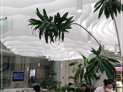大堂-大树餐厅(朝阳大悦城店)