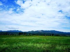 -敕勒川草原