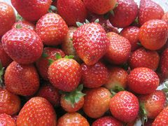 -临武万客隆国际购物广场(晴岚路店)