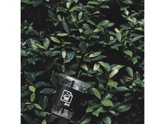 冰拿铁-JPG coffee(广州体育西店)