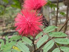 -广州市白云山风景名胜区