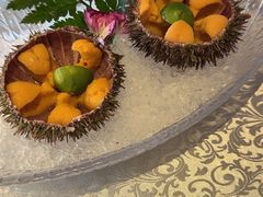 生海胆-日月昇渔家菜·海肠捞饭·大连海鲜(星海公园店)